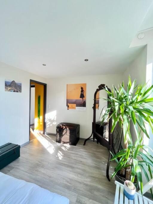 Le Grenier A Sel - Reims Apartment Ngoại thất bức ảnh
